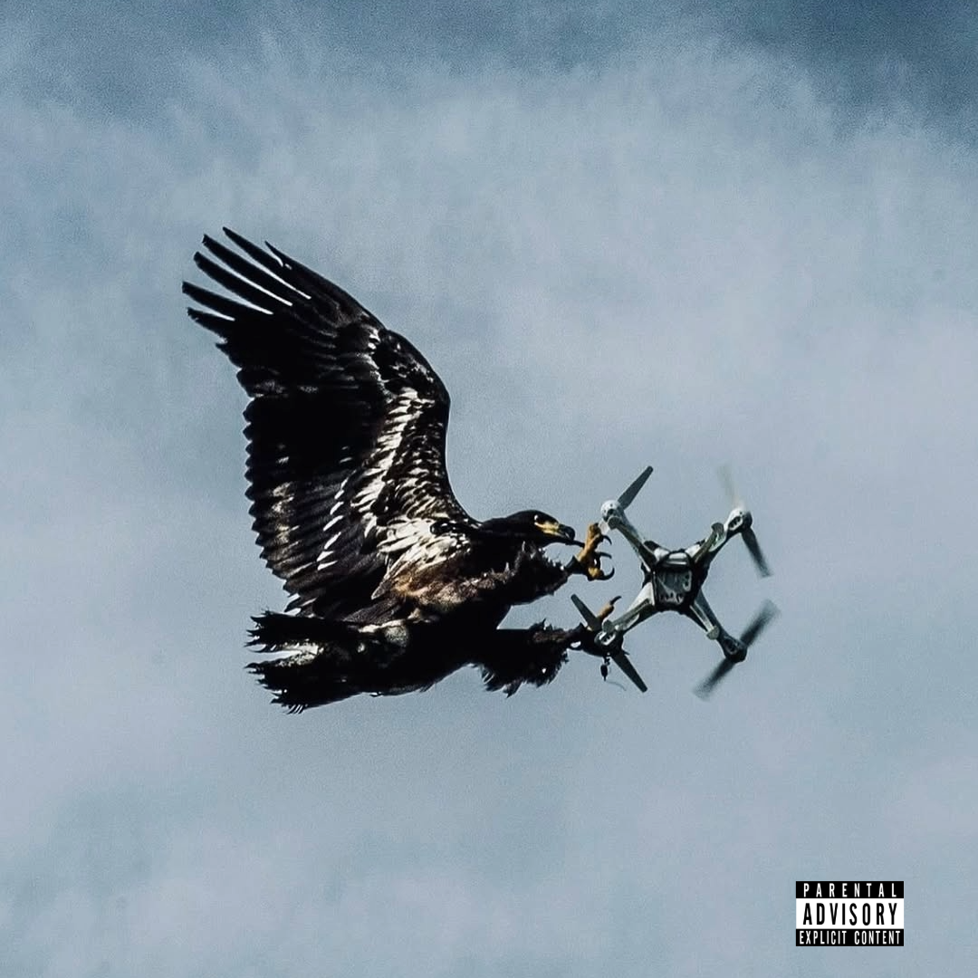 <i>No AI Was Used</i> cover art